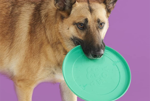  What are silicone pet supplies?