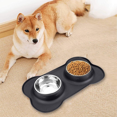 Dog Bowls With Silicone Mat (2)