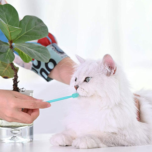 silicone-cat-toothbrush3