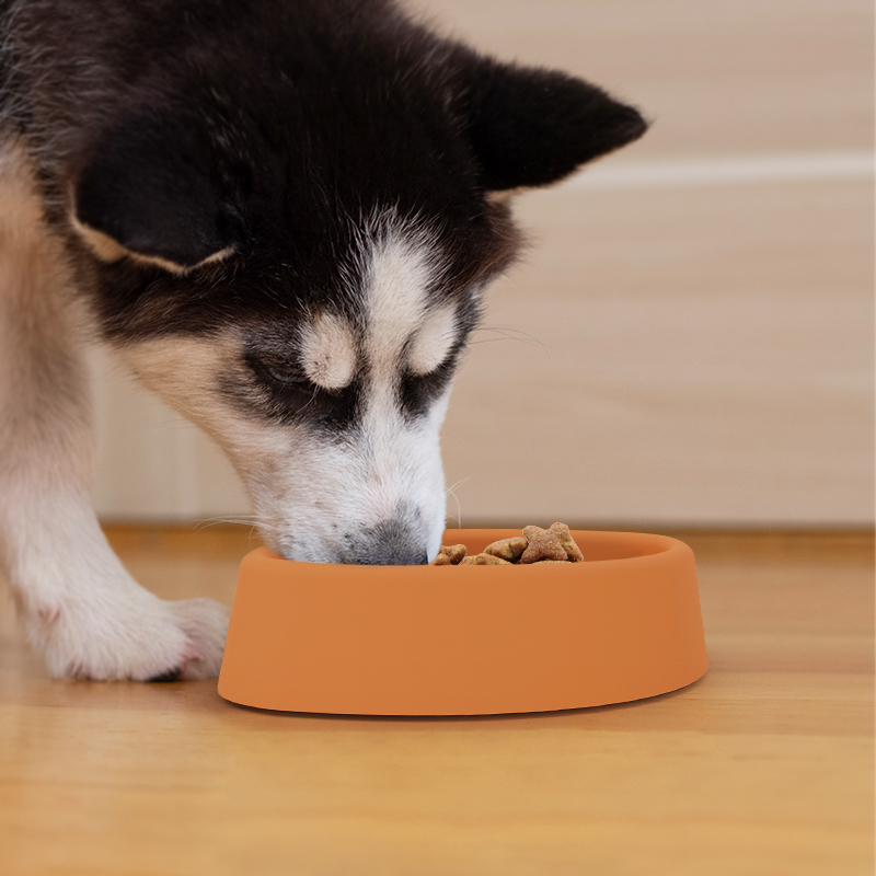 slow feeder dog bowl