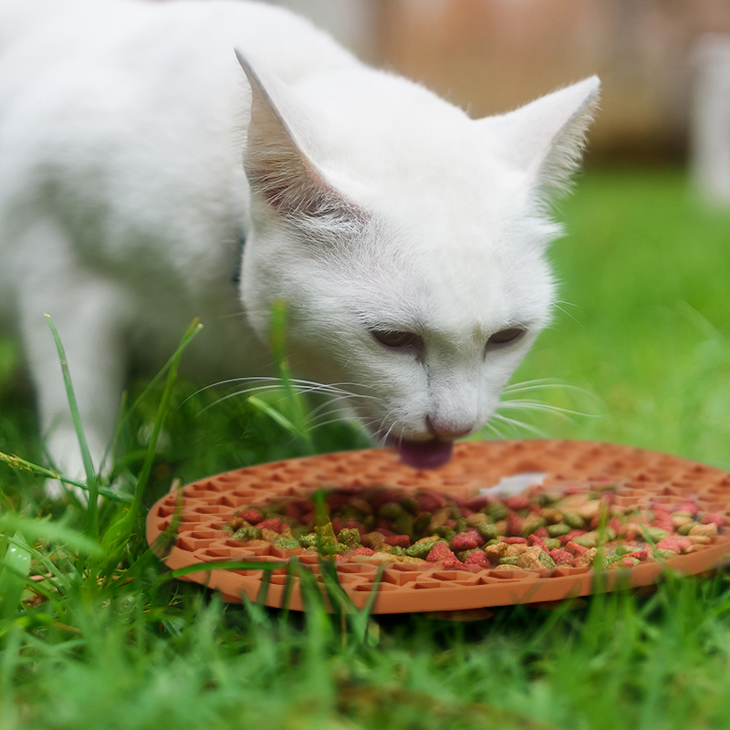 pet-feeding-mat