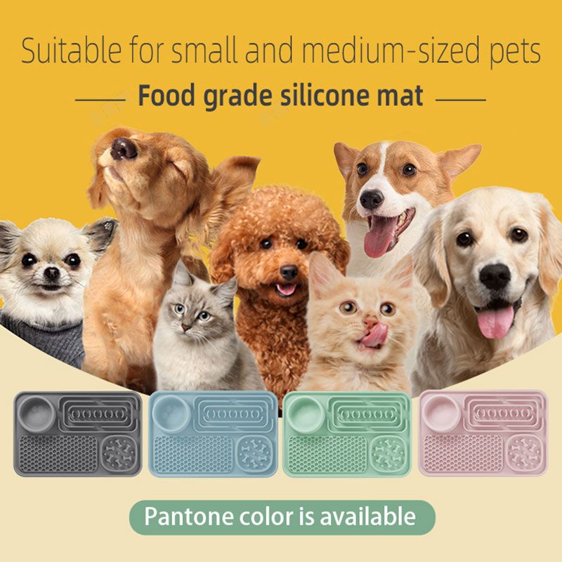 dog-food-divided-plate