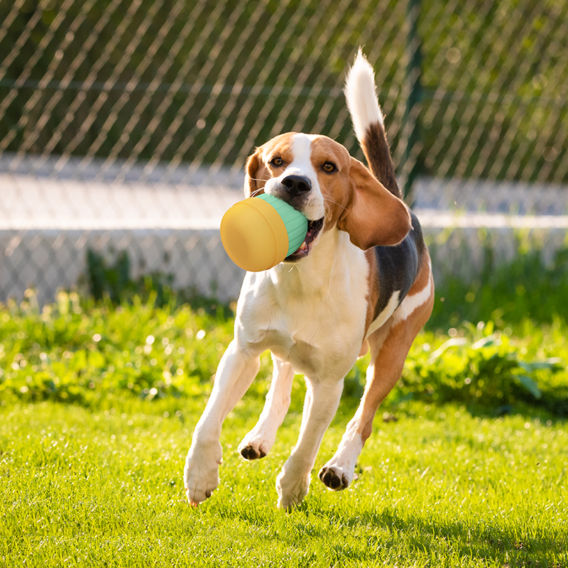 Pet Leaky  Toys