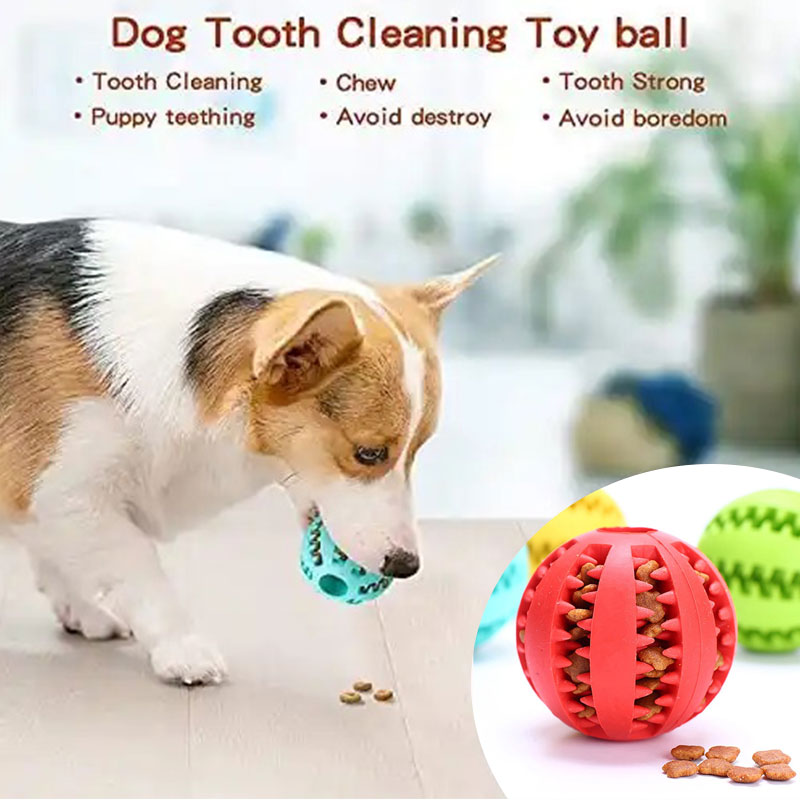 Pet Chew Toys