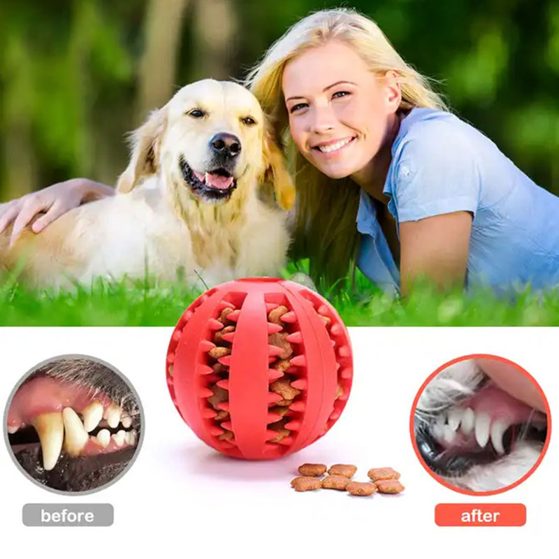 Pet Chew Toys