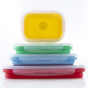 Silicone bento box